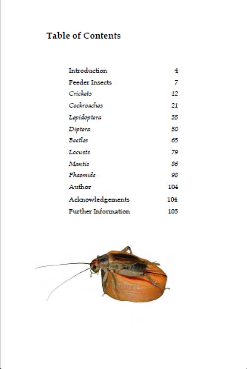 Breeding Insects As Feeder Food David Haggett